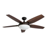 Ceiling Fan with Light